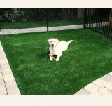 Pet Fack Grass