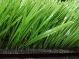 Economic football grass u shape