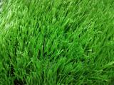Football grass new style